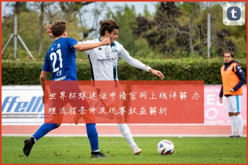 世界杯球迷证申请官网上线详解 办理流程条件及观赛权益解析