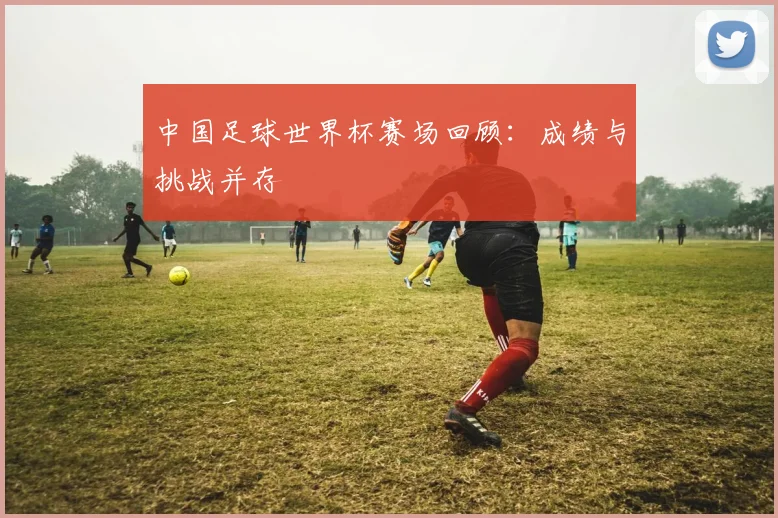 中国足球世界杯赛场回顾:成绩与挑战并存