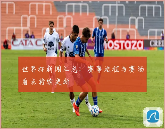 世界杯新闻汇总：赛事进程与赛场看点持续更新