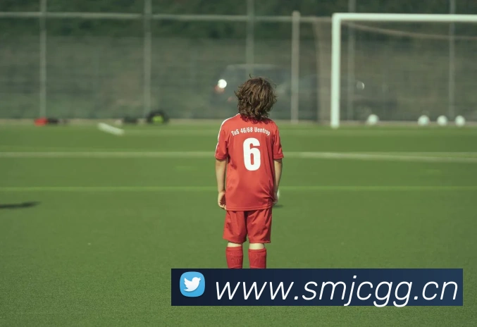 易倍emc官网网页版APP 封面图